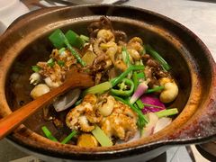 生啫八爪鱼-啫神·广州地标美食(北京路店)