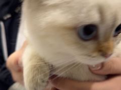 -宠颐生宠物医院·犬猫全科·皮肤科(商业街店)