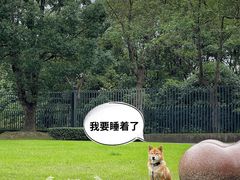 -上海月湖雕塑公园