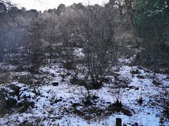 -香山公园