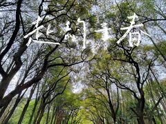 -共青国家森林公园-售票处