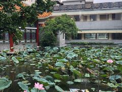 -番禺宾馆丽苑厅