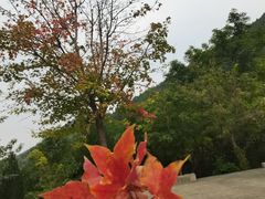 -佛慧山