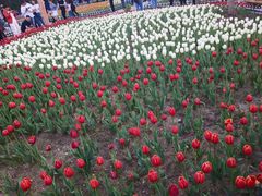 -长春公园(普阳街道)