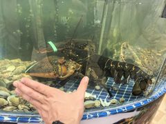 -老船长海鲜大排档(集美店)