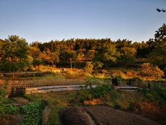 -塔川景区