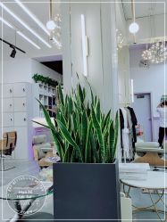 点击看大图 -FUTURE HN男士发型风格设计