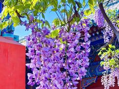 -北京国子监胡同