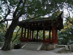 -乌山风景区
