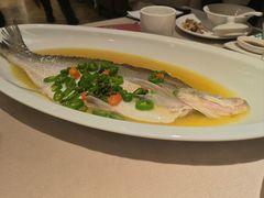 青花椒汁蒸白丝鱼-尚一汤 广东炖汤(金桥国际店)