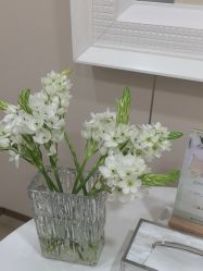 -YESIDO椰岛美容