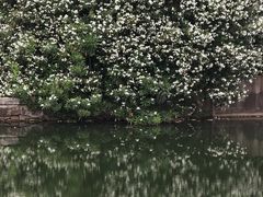 -尚贤河湿地