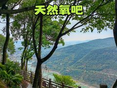-铁山坪森林公园