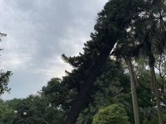 -晓港公园