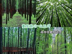 -山王坪喀斯特国家生态公园