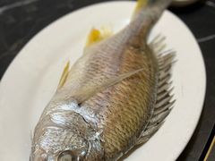 -吴记富苑(朝阳店)