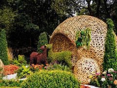 -上海共青森林公园