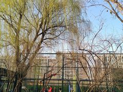 -回龙观体育文化公园