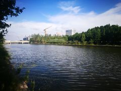 -春花秋色城市公园