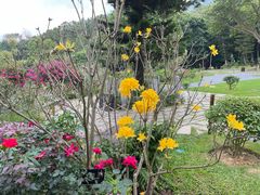 -深圳仙湖植物园