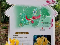 -杭州植物园