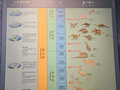-湖南省地质博物馆