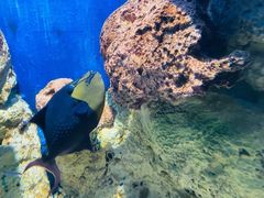 -福州罗源湾海洋世界旅游区