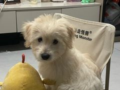 -海底捞火锅(吾悦广场店)