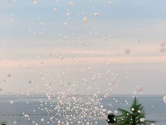 -威海国际海水浴场旅游区