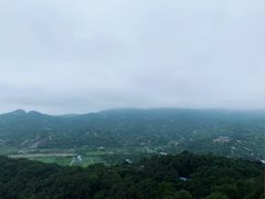 -青芝山风景名胜区