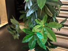 -新紫霞养生·影院足道·SPA(金山区店)