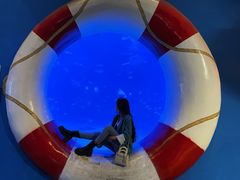 -烟台海昌鲸鲨海洋公园