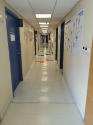 -杭州贝瑞斯美华妇儿医院·早孕·产检·儿科