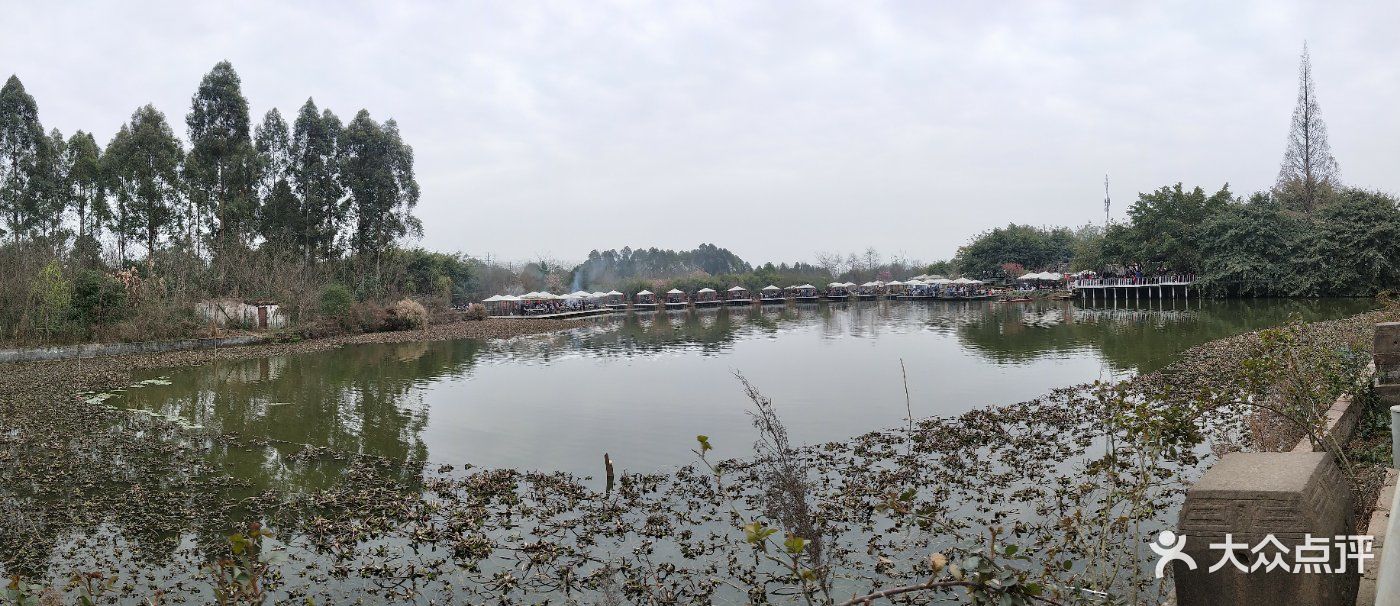 百花深处--环境图片-成都美食-大众点评网