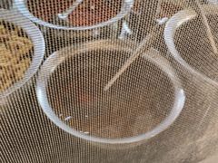 -寶牯佬邵阳米粉