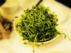 豆苗-鼎鼎香·港式火锅(北京SKP店)