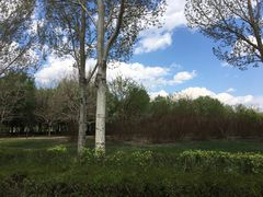 -长春公园(普阳街道)