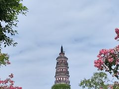 -顺峰山公园
