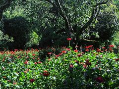 -名花谷生态庄园