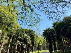 -上海滨江森林公园