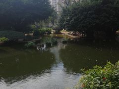 -九龙公园