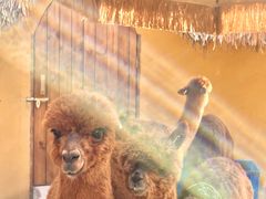 -珠海海泉湾神秘岛亲子乐园