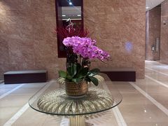 -上海浦东丽晟假日酒店