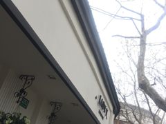-WHEN PIGS FLY当猪飞