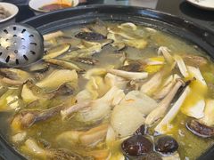 -草墩罗非鱼庄•野生菌•腊排骨(七星街上段店)