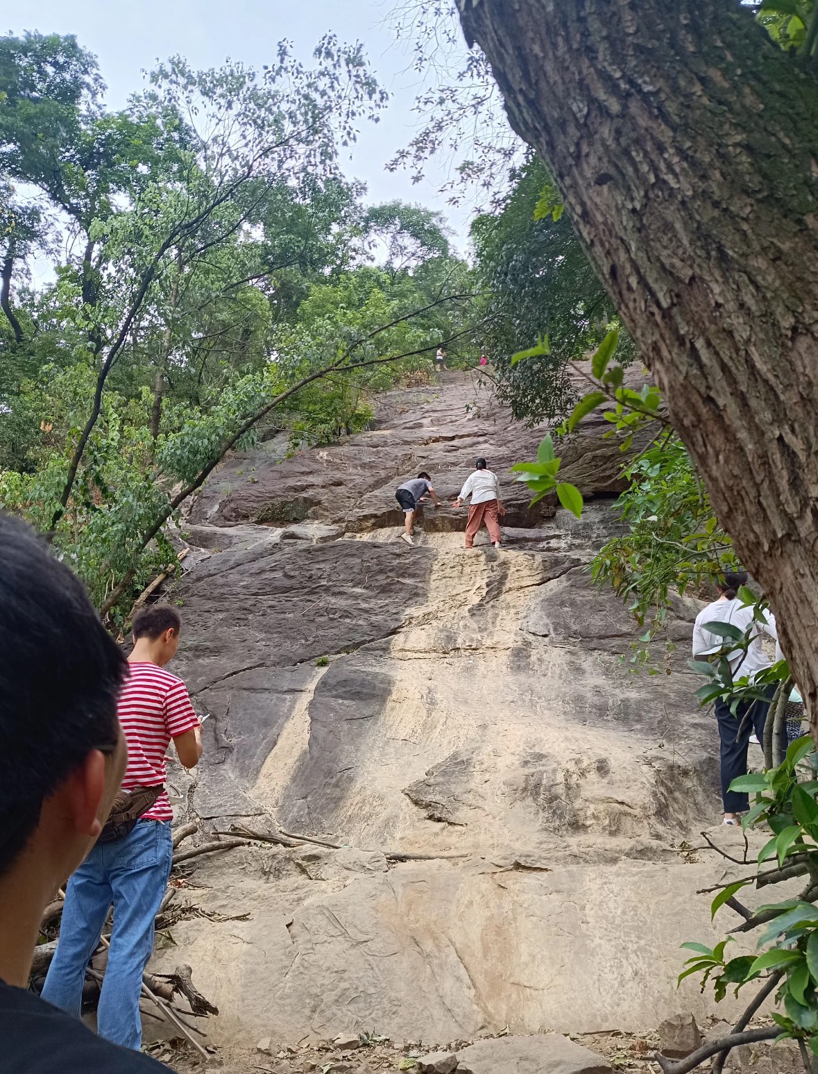 岳麓山爬山图片