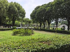 -金砂公园