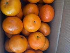 -红星农博物流中心