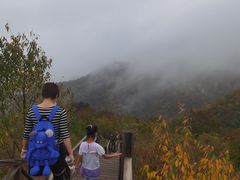-大岭沟猕猴桃谷风景区