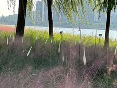 -上海山野camping·户外天幕烧烤·团建拓展营地